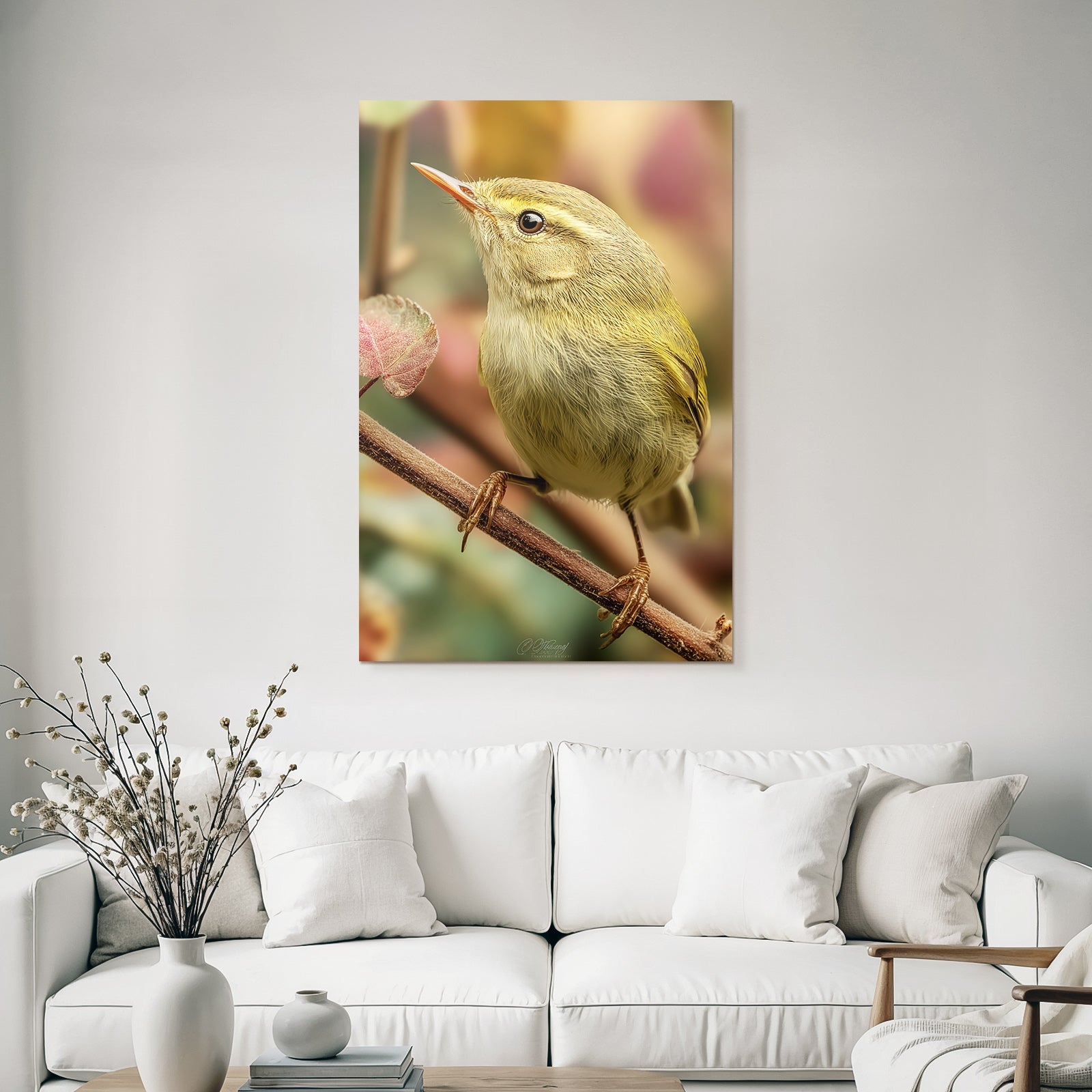 Vogel Naheaufnahme Bunte Feder Details