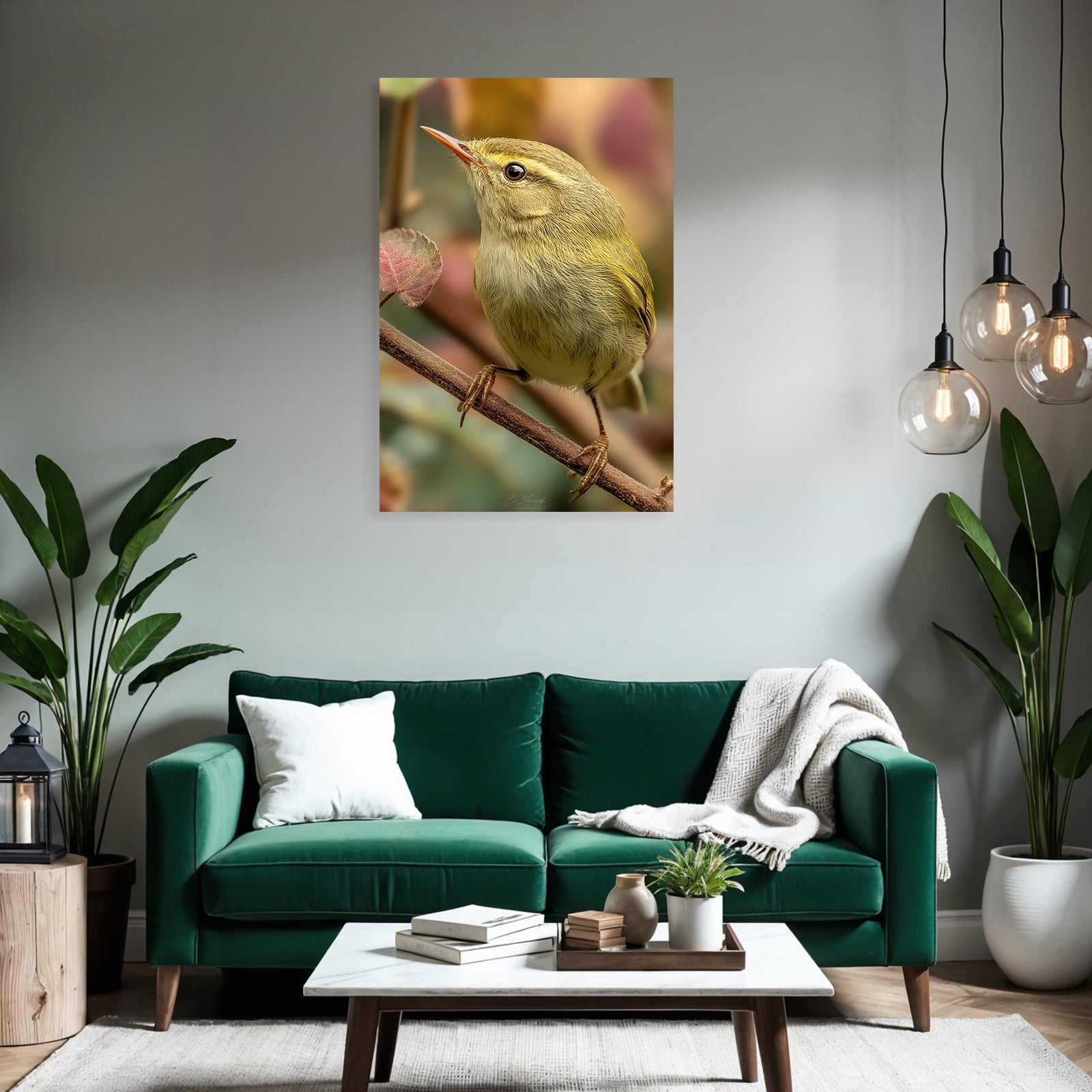 Vogel Naheaufnahme Bunte Feder Details