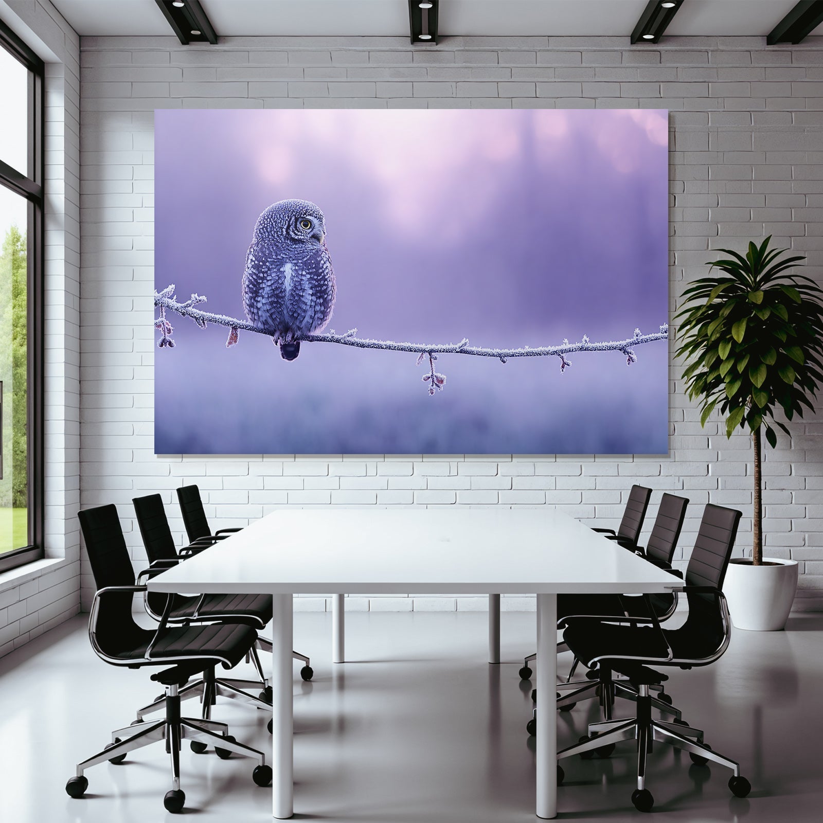 Kleine Eule Auf Frostigem Zweig Mit Lila Hintergrund