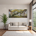 Verwilderter Raum Mit Baum Und Verfallenen Wänden | Lost Places | Architektur