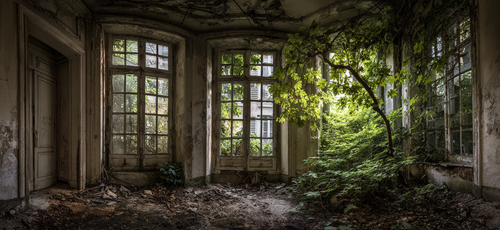 Verlassener Raum Natur Reclaiming Sonnenlicht Decay Grünheit | Lost Places | Architektur