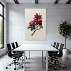 Botanische Magnolienillustration Im Vintage Stil