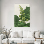 Botanische Illustration Mit Grünen Blättern Und Fruchtständen