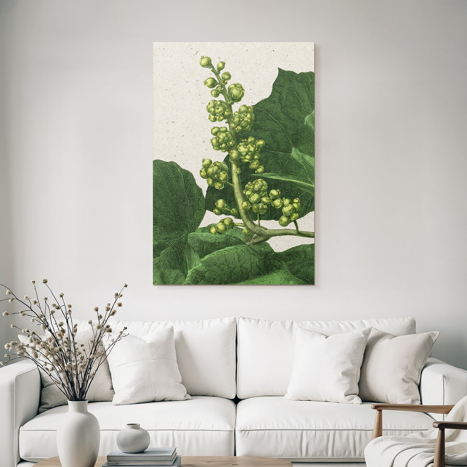 Botanische Illustration Mit Grünen Blättern Und Fruchtständen