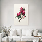 Botanische Magnolienillustration Im Vintage Stil
