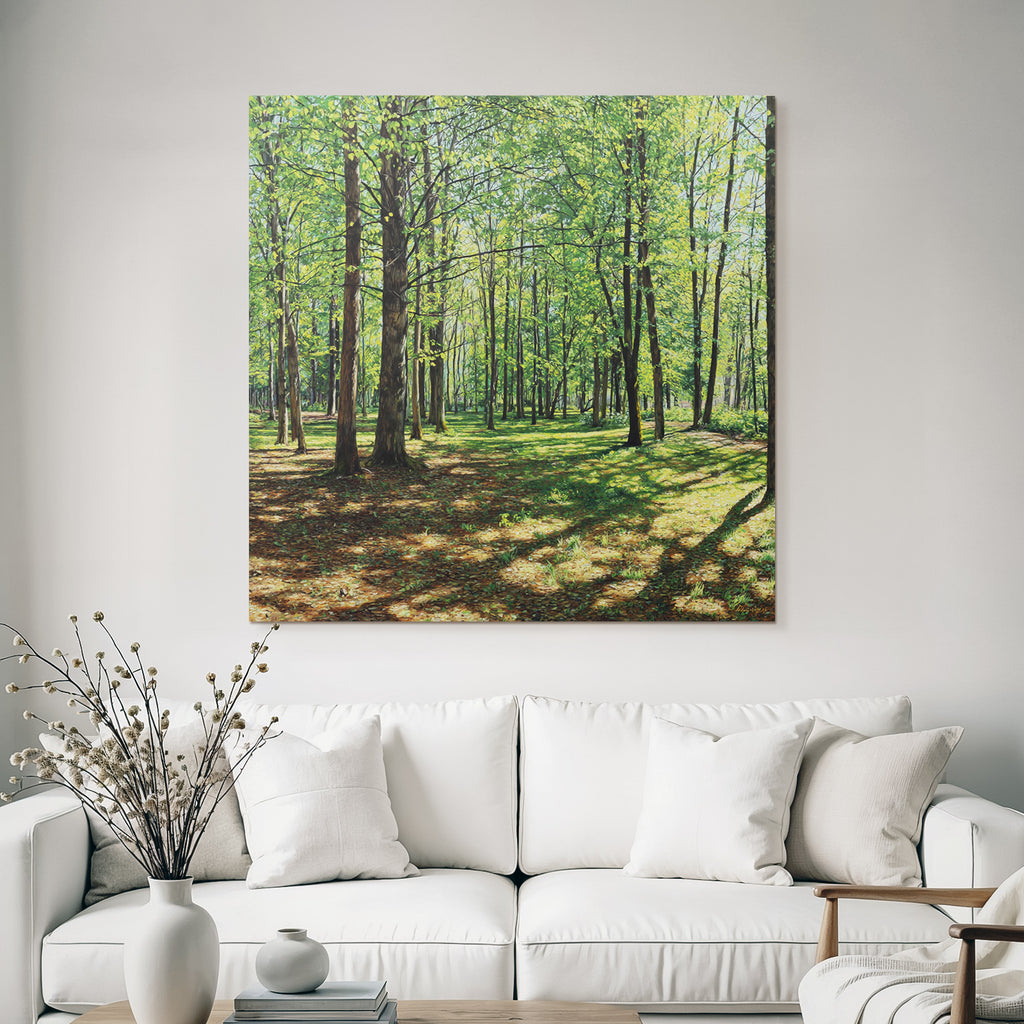 Lush Forest Scene Mit Tall Baeume Und Dappled Sonne Light | Duenen und Heide | Landschaften