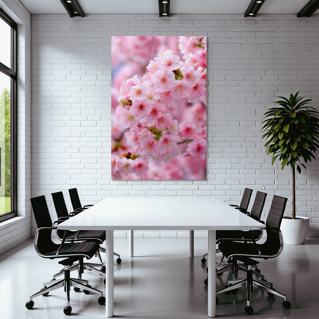 Zarte Rosablühende Kirschblüten Im Frühling