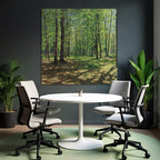 Lush Forest Scene Mit Tall Baeume Und Dappled Sonne Light | Duenen und Heide | Landschaften