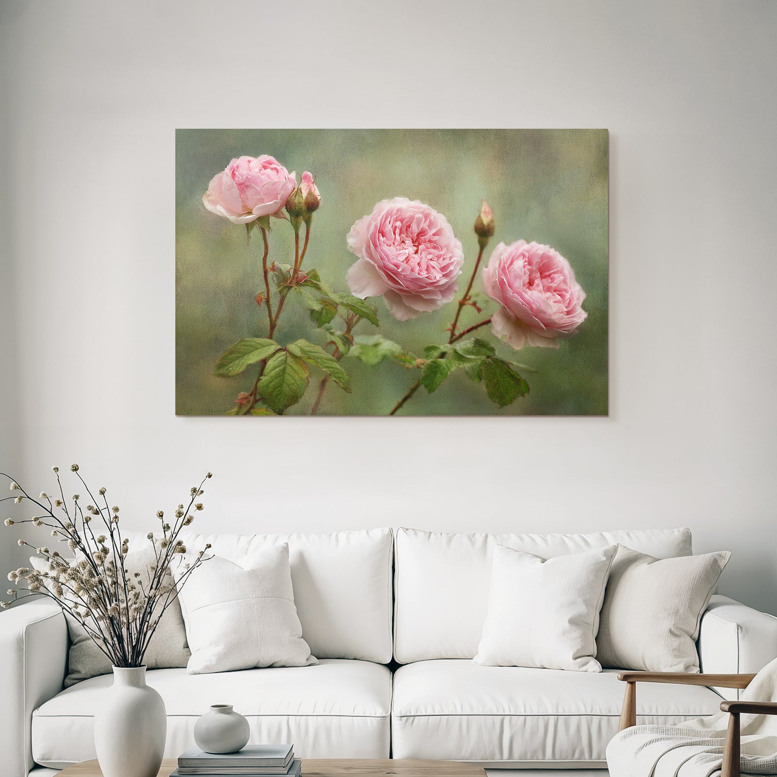 Rosa Rosen In Verschiedenen Blütenstadien Mit Knospen Und Grünen Blättern