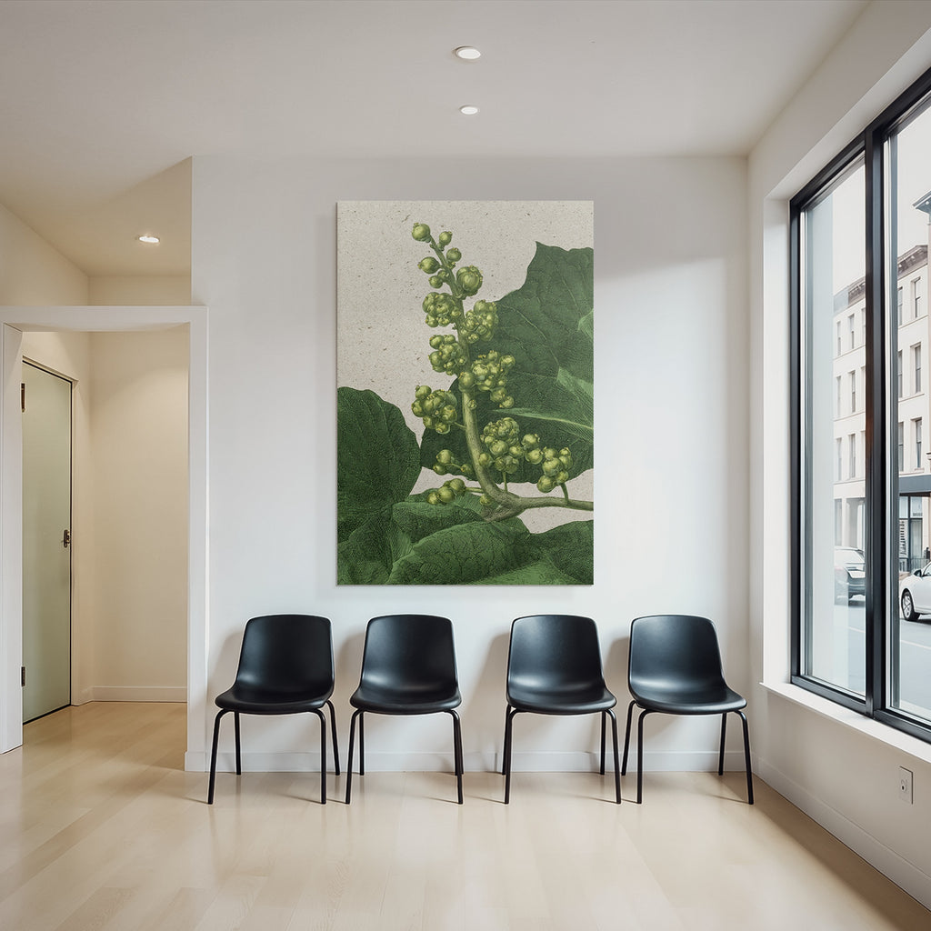 Botanische Illustration Mit Grünen Blättern Und Fruchtständen