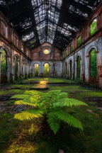 Verwahrloste Überwucherte Bau Hintergrund Ruhe Sonne Farn | Lost Places | Architektur