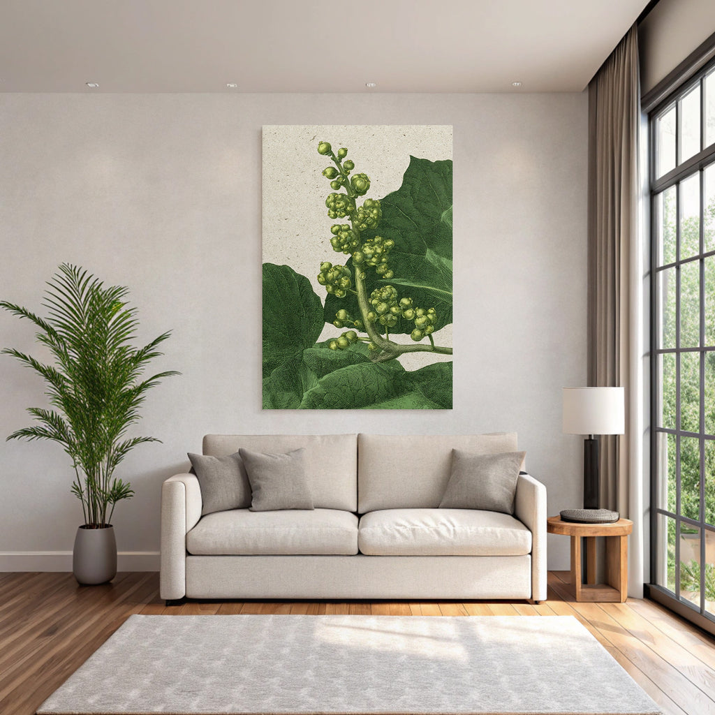 Botanische Illustration Mit Grünen Blättern Und Fruchtständen