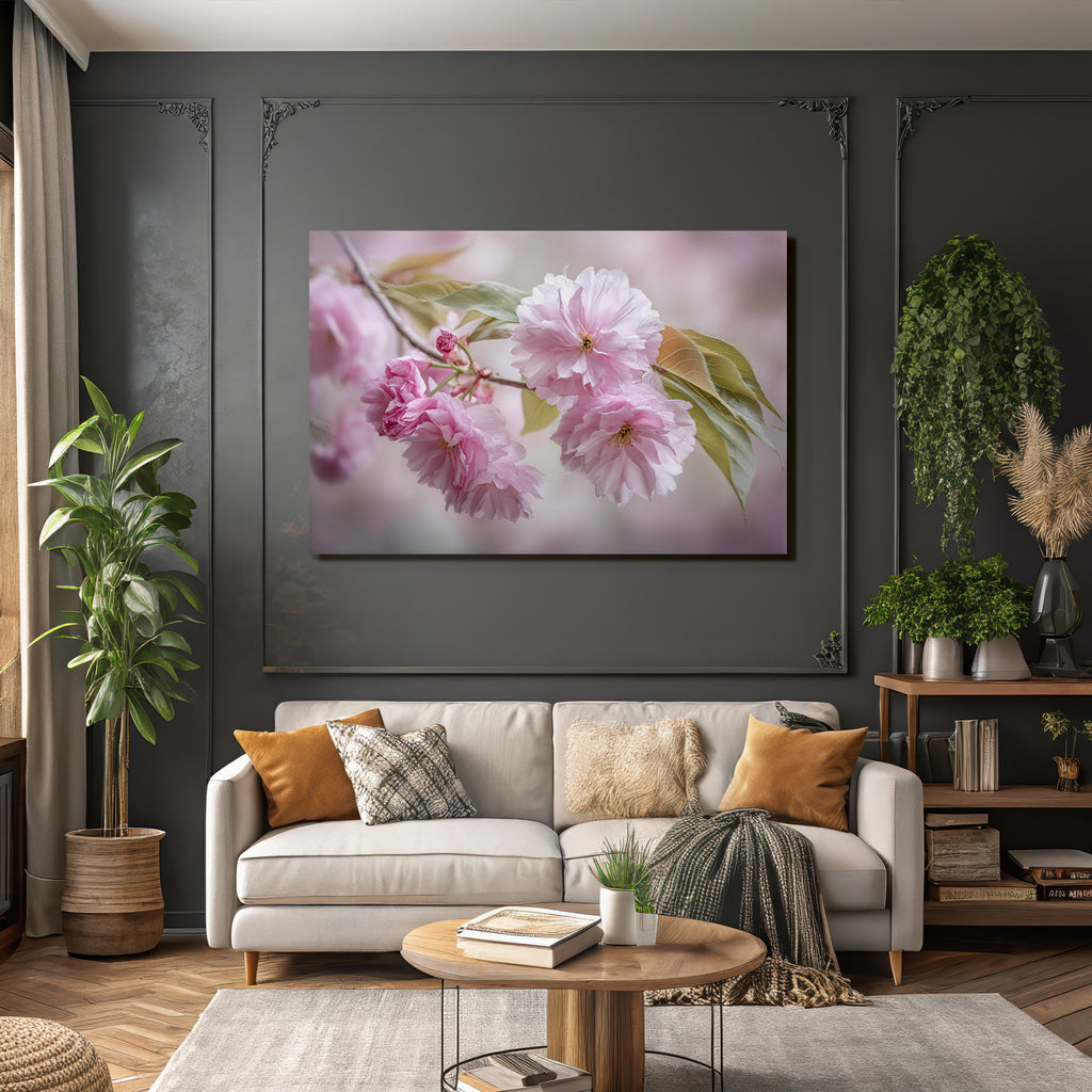 Kirschblütenzweig Mit Zarten Rosanen Blüten