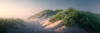 Friedlicher Strand Mit Dünen Grünem Gras Und Wildblumen | Duenen und Heide | Landschaften