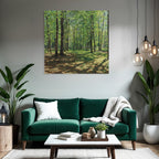 Lush Forest Scene Mit Tall Baeume Und Dappled Sonne Light | Duenen und Heide | Landschaften