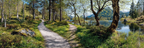 Ruhige Wald Path Mit Ruhigem Wasser Picturesque Natur Erleben | Duenen und Heide | Landschaften