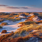 Sanddünen Und Gras Beim Sonnenaufgang Oder Sunset | Duenen und Heide | Landschaften