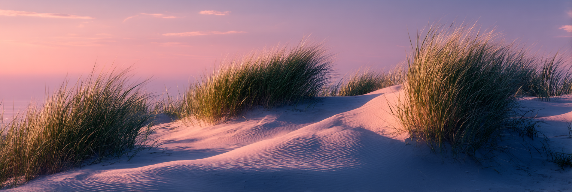 Sanddünen Gräser Sonnenaufgang | Duenen und Heide | Landschaften