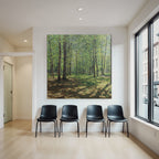 Lush Forest Scene Mit Tall Baeume Und Dappled Sonne Light | Duenen und Heide | Landschaften