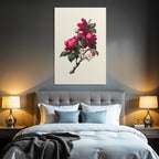 Botanische Magnolienillustration Im Vintage Stil