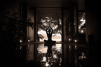 Yoga Meditation Ruhige Inneneinstellung Yoga Meditation Entspannung Innerer Frieden | Yoga und Meditation | Themen und Hobbys