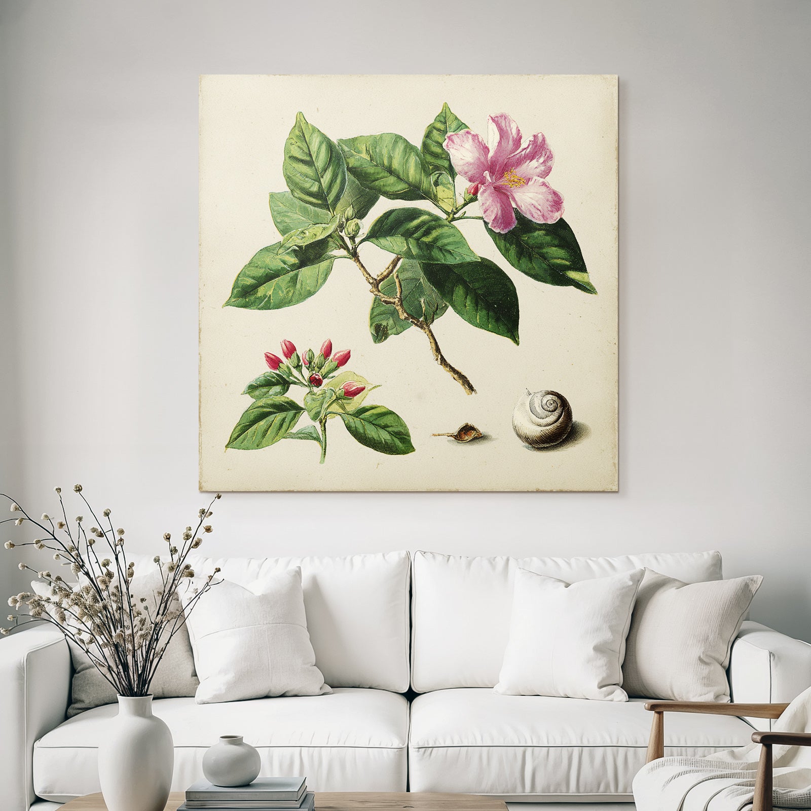 Rosa Blüte Mit Grossen Grünen Blättern Kleinen Blüten Und Schnecken
