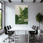 Botanische Illustration Mit Grünen Blättern Und Fruchtständen