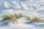 Sandstrand Mit Gras Und Wolken | Duenen und Heide | Landschaften