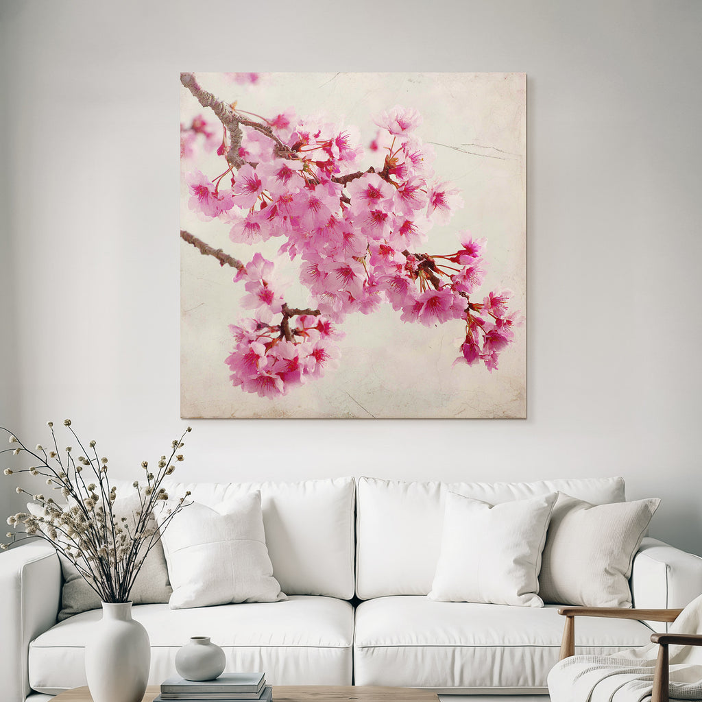 Zweig Mit Rosa Kirschblüten