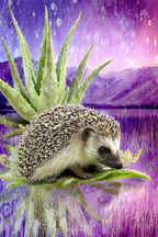 Polarlicht Igel Auf Aloe Pflanze Lebendige Hintergrund Farbenfrohe Landschaft | Fjorde und Gletscher | Landschaften