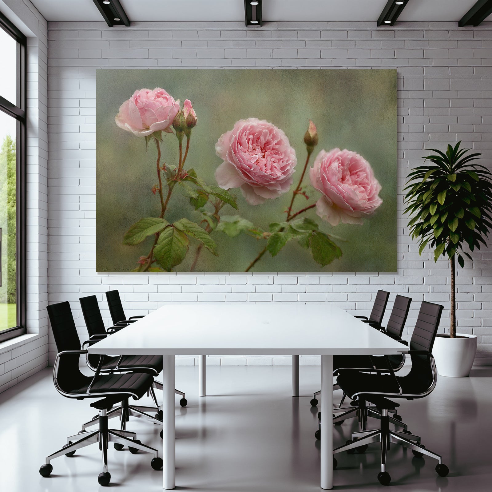 Rosa Rosen In Verschiedenen Blütenstadien Mit Knospen Und Grünen Blättern