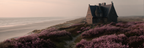 Küstenszene Vintage Haus Strand Lila Blumen Sonnenaufgang Unscharf | Duenen und Heide | Landschaften